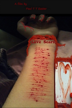 Poster Love Scars