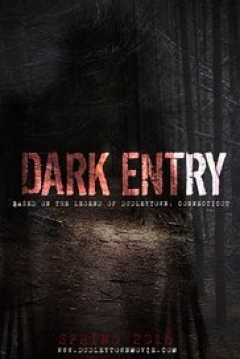 Poster Dark Entry
