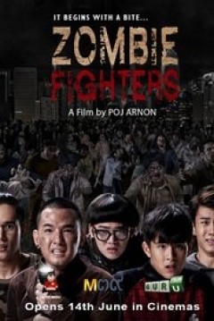 Poster Zombie Fighters