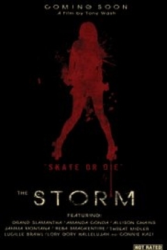 Poster The Storm