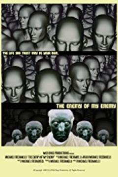 Poster The Enemy of my Enemy