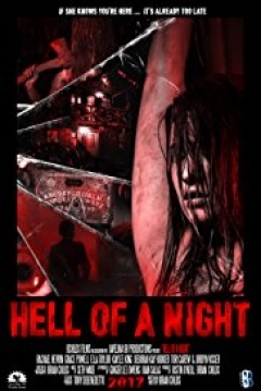 Poster Hell of a Night