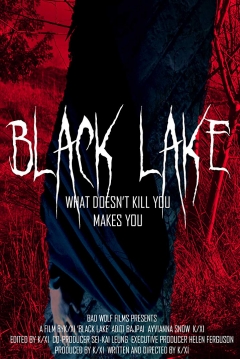 Poster Black Lake