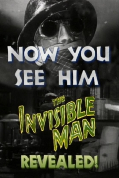 Ficha Ahora sí le Ven: El Hombre Invisible al Descubierto