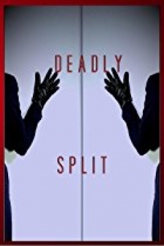 Poster Deadly Split: The Twin Movie