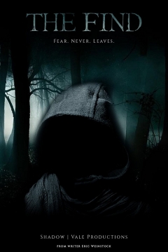 Poster The Find