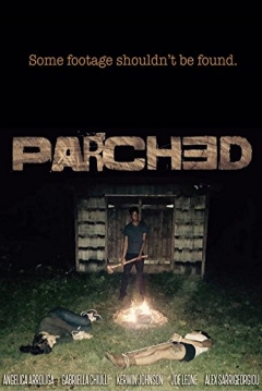 Poster Parched