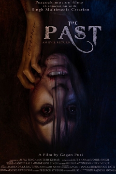 Poster The Past