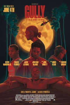 Poster Gully