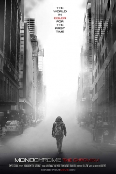 Poster Monochrome: The Chromism