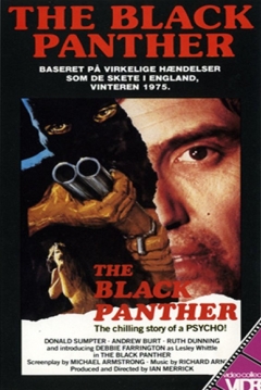 Poster The Black Panther
