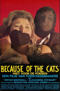 Ficha Because of the Cats
