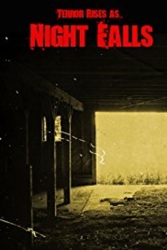 Poster Night Falls