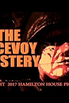 Poster The Mystery of McEvoy
