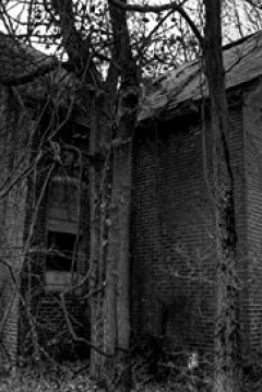 Poster Dark White House