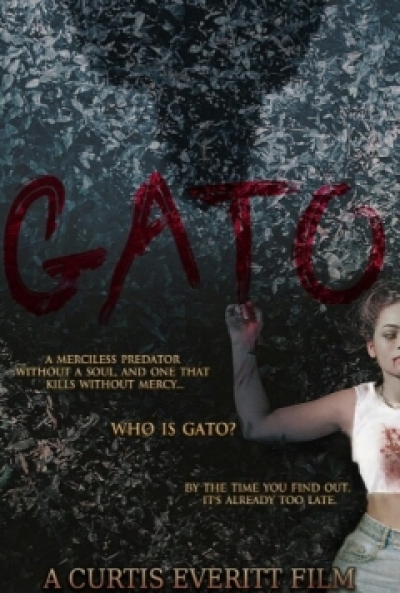 Poster Gato