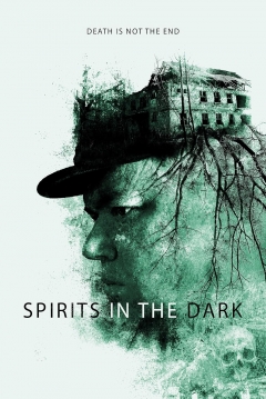 Ficha Spirits in the Dark