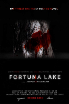 Poster Fortuna Lake