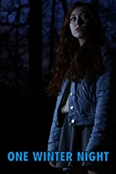 Poster One Winter Night