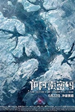 Poster The Secret of Immortal Code