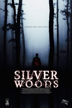 Poster Silver Woods