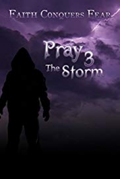Poster Pray 3D: The Storm