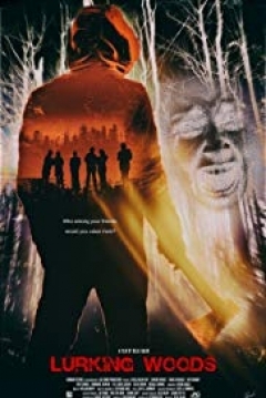 Poster Lurking Woods