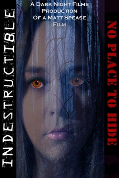 Poster Indestructible 4