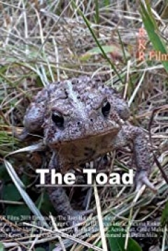 Poster The Toad