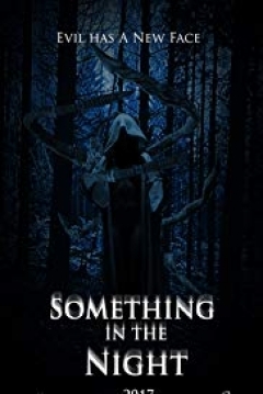 Poster Something in the Night
