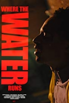 Poster Where the Water Runs