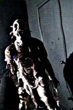 Poster Paranormal Abduction