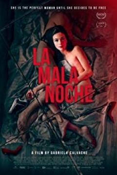 Poster La Mala Noche