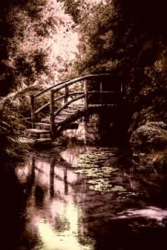 Poster The Bridge