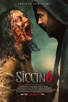 Poster Siccin 6