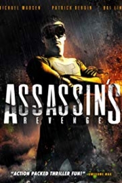 Poster Assassins Revenge