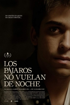Poster Los Pájaros no Vuelan de Noche