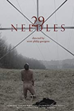 Ficha 29 Needles
