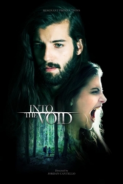 Poster Into the Void