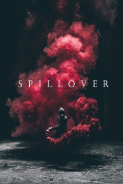 Poster Spillover
