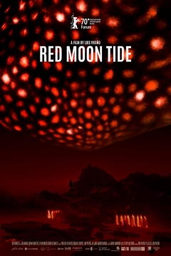 Poster Luna Roja
