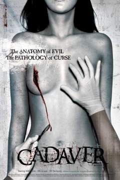 Poster The Cut