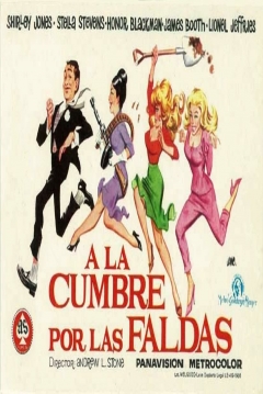 Poster A la Cumbre por las Faldas