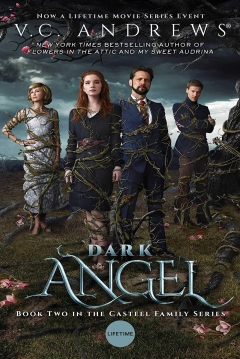 Ficha Ángel Negro