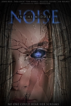 Poster Noise in the Middle