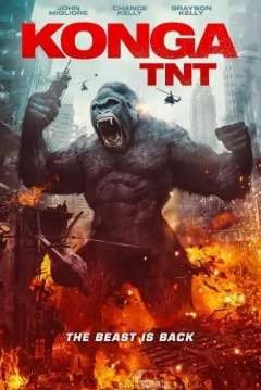 Poster Konga TNT