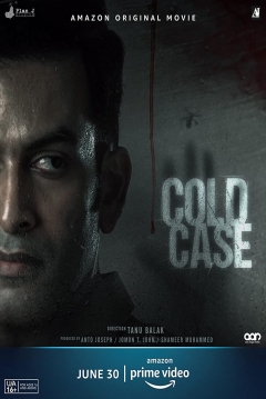 Poster Cold Case