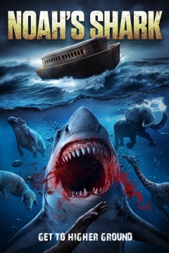 Poster Noah's Shark