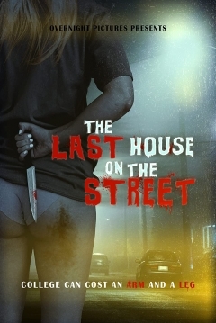 Poster The Last House on the Street