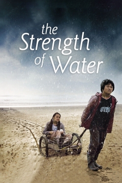 Poster La Fuerza del Agua